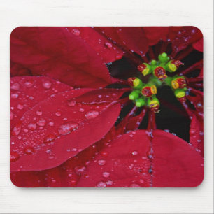 Tapis De Souris Poinsettia