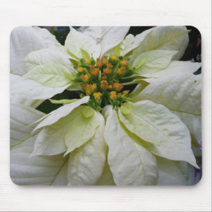 Tapis De Souris Poinsettia Blanc Élégant Fleurs de Noël
