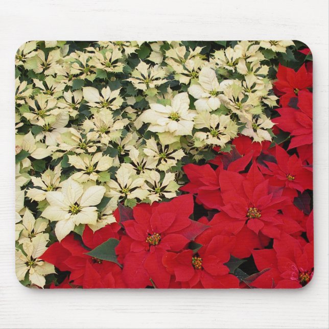 Tapis De Souris Poinsettias blanches et rouges I Holiday Floral (Devant)
