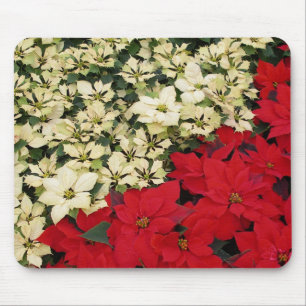 Tapis De Souris Poinsettias blancs et rouges I Floral fête