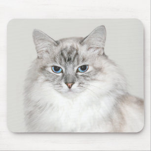 Tapis De Souris Point bleu Chat himalayen