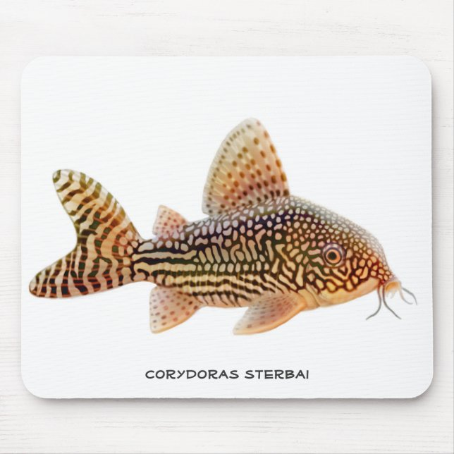 Tapis De Souris Poisson-chat Mousepad de Corydoras Sterbai (Devant)