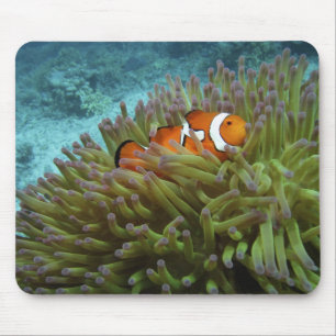 Tapis De Souris Poisson-clown occidental (Amphiprion ocellaris)