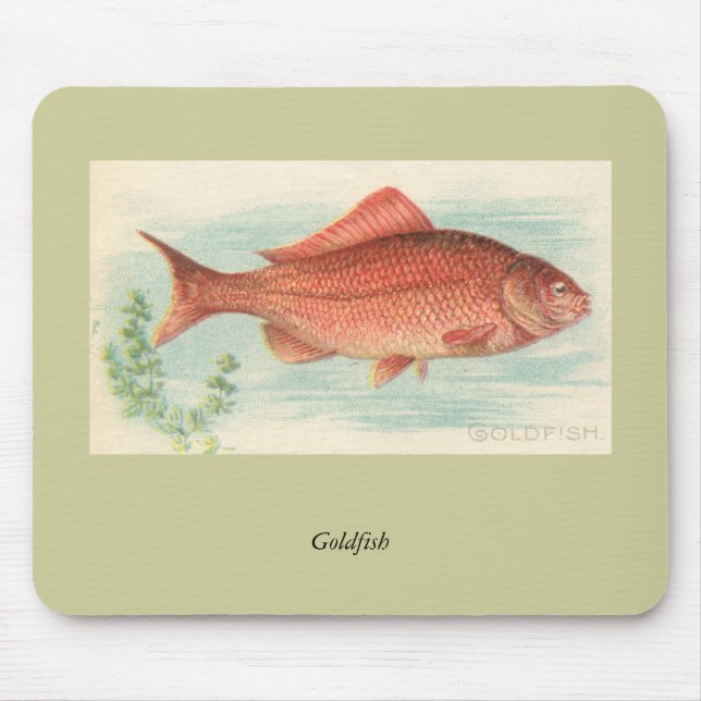 Tapis De Souris Poisson d'or (Devant)