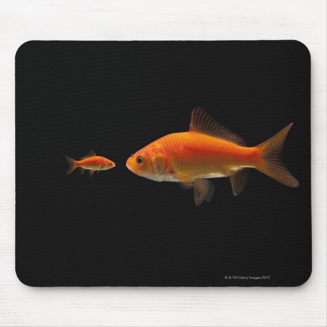 Tapis De Souris Poisson d'or 3 (Devant)