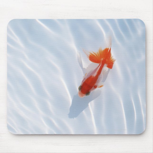 Tapis De Souris Poisson d'or 5 (Devant)