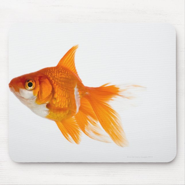 Tapis De Souris Poisson d'or, vue latérale (Devant)