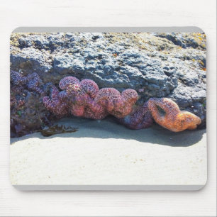 Tapis De Souris Poisson étoilée colorée à Bob Creek, OU