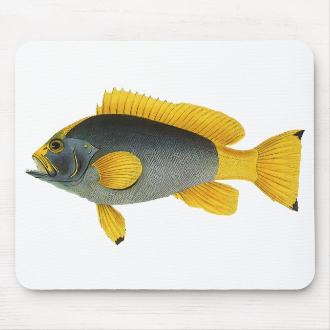 Tapis De Souris Poisson Groupeur Bleu et Jaune, Faune Marine Vinta (Devant)