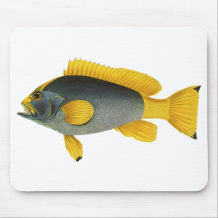Tapis De Souris Poisson Groupeur Bleu et Jaune, Vie Marine Vintage