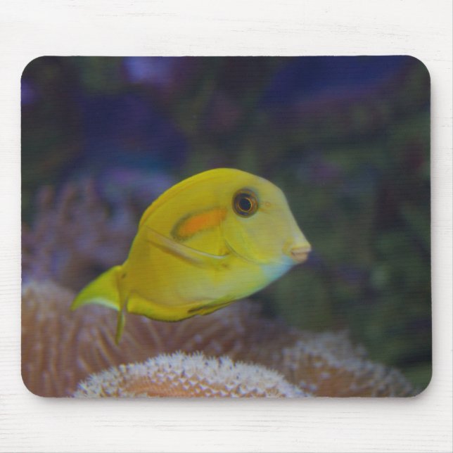 Tapis De Souris Poisson jaune (Devant)