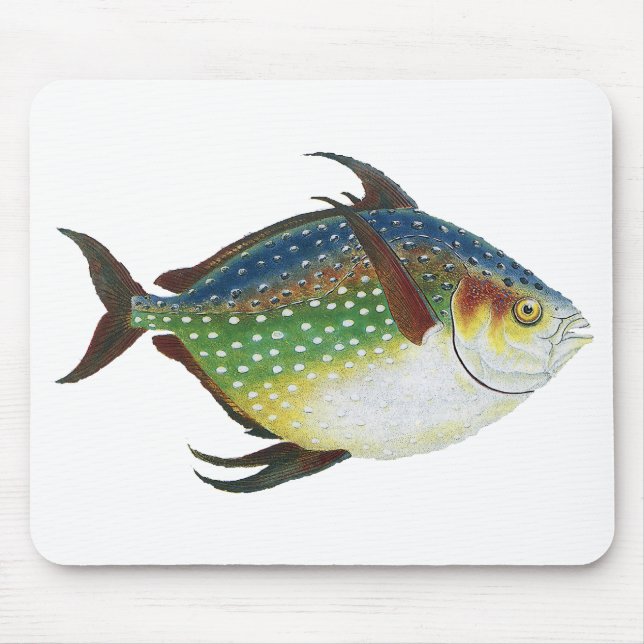 Tapis De Souris Poisson Opah tropical, animal aquatique marin Vint (Devant)