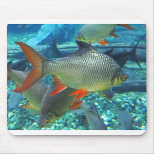 Tapis De Souris Poisson perche