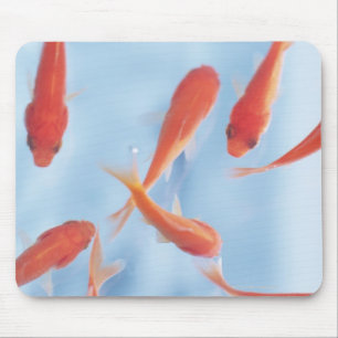 Tapis De Souris Poisson rouge