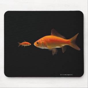 Tapis De Souris Poisson rouge 3