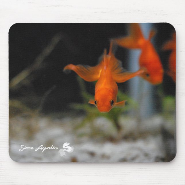 Tapis De Souris Poisson rouge orange Mousepad de rose des vents de (Devant)