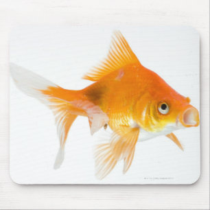 Tapis De Souris Poisson rouge sur l'arrière - plan blanc