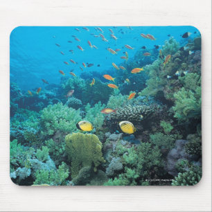 Tapis De Souris Poisson tropical nageant sur le récif