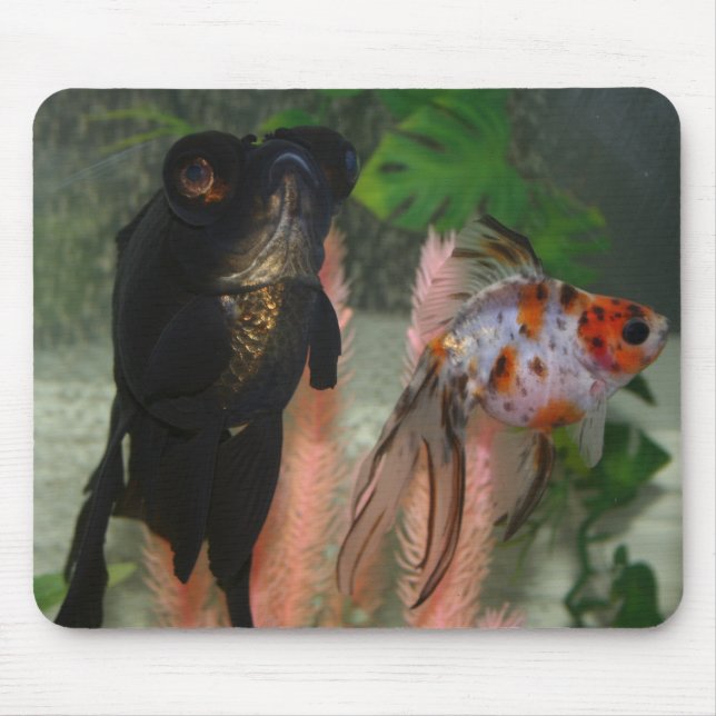 Tapis De Souris poissons (Devant)