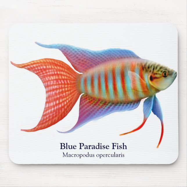 Tapis De Souris Poissons bleus Mousepad de paradis (Devant)