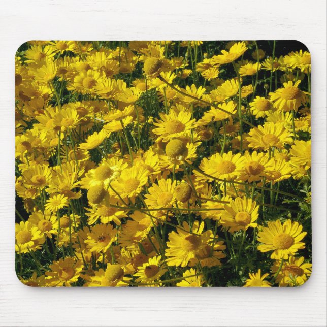 Tapis De Souris Poissons / Chrysanthème Coronarium (Devant)