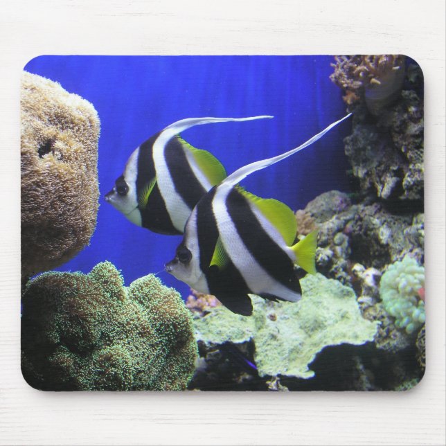 Tapis De Souris Poissons d'ange (Devant)