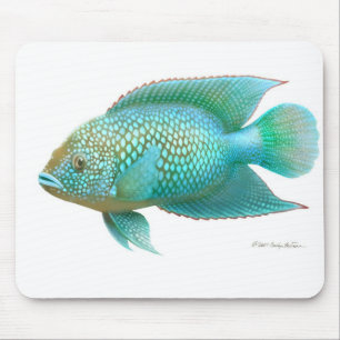 Tapis De Souris Poissons de Cichlid de Jack Dempsey