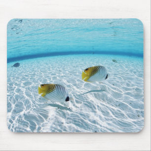 Tapis De Souris Poissons en mer 2