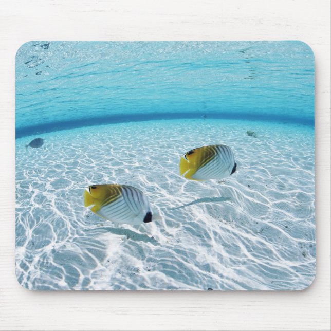 Tapis De Souris Poissons en mer 2 (Devant)