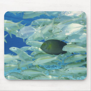 Tapis De Souris Poissons jaunes de chirurgien avec le poisson