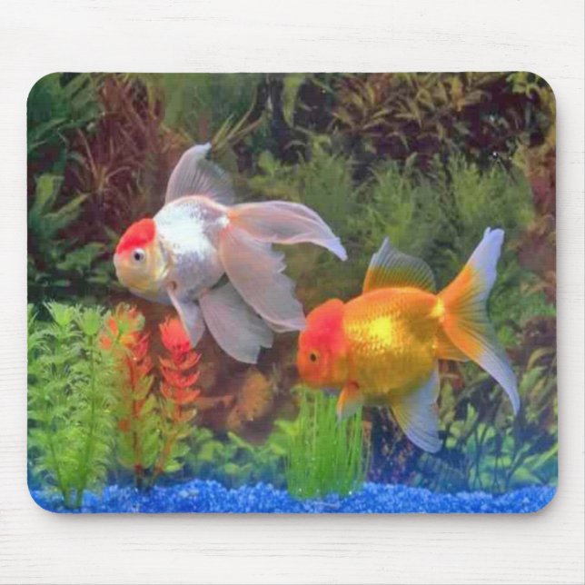 Tapis De Souris Poissons Mousepad (Devant)