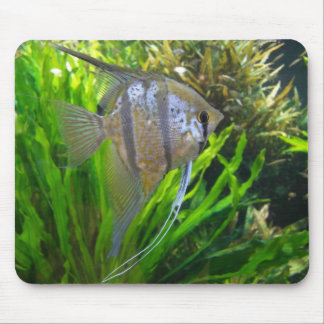 Tapis De Souris Poissons Mousepad d'ange