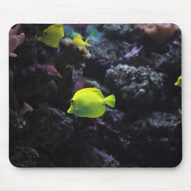 Tapis De Souris poissons, poissons, mer (Devant)