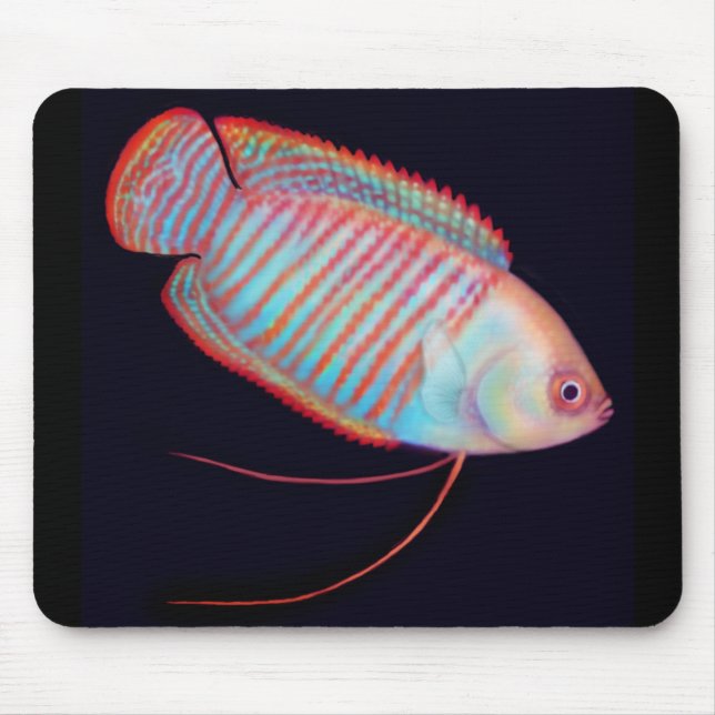Tapis De Souris Poissons tropicaux Mousepad de Gourami nain (Devant)