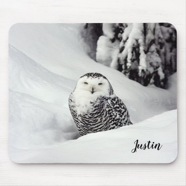 Tapis De Souris Polar Owl Themed Mouse Pad (Devant)