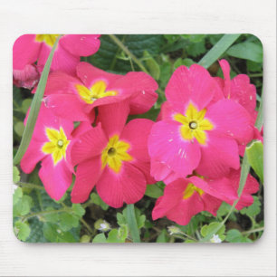 Tapis De Souris Polyanthus Mousepad