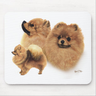 Tapis De Souris Pomeranian