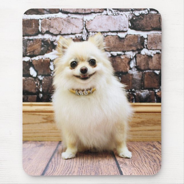 Tapis De Souris Pomeranian - collier de vanité d'Abby (Devant)