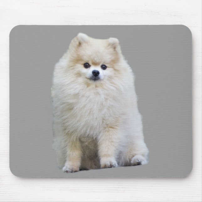Tapis De Souris Pomeranian Mousepad (Devant)