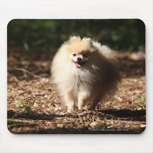 Tapis De Souris Pomeranian trottant dans le feuille tombé (Devant)