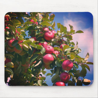 Tapis De Souris Pommes rouges dans la nature de l'arbre