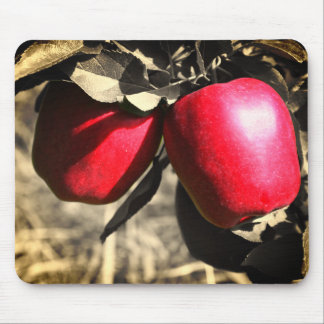 Tapis De Souris Pommes rouges dans l'arbre