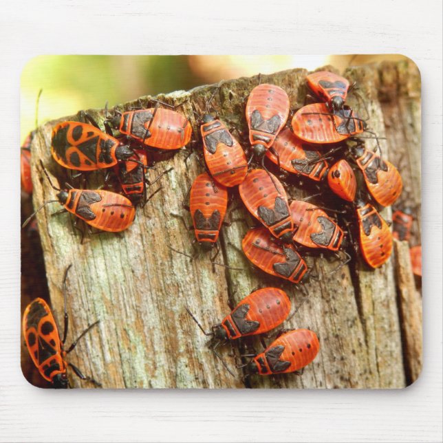 Tapis De Souris Pompiers Souris (Devant)