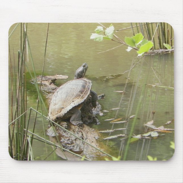 Tapis De Souris Pond Turtle (Devant)