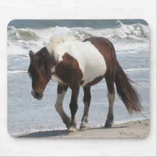 Tapis De Souris Poney d'île d'Assateague