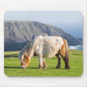 Tapis De Souris Poney Shetland sur le pâturage près de hautes fala