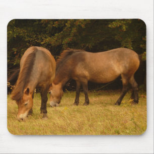 Tapis De Souris Poneys Mousepad d'Exmoor