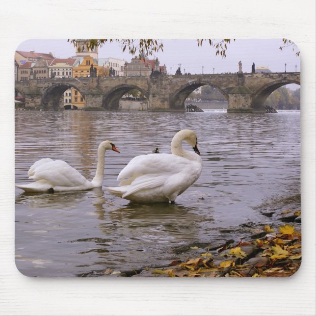 Tapis De Souris Pont Swans et Charles à Prague (Devant)