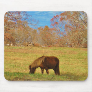 Tapis De Souris Pony miniature Brown