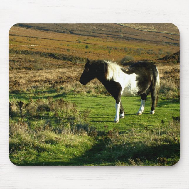 Tapis De Souris Pony sur Dartmoor (Devant)